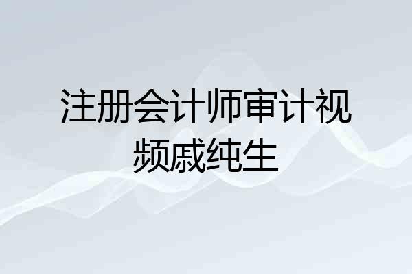 注册会计师审计视频戚纯生