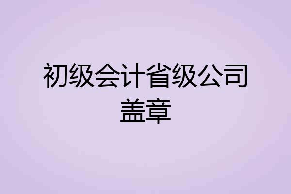 初级会计省级公司盖章
