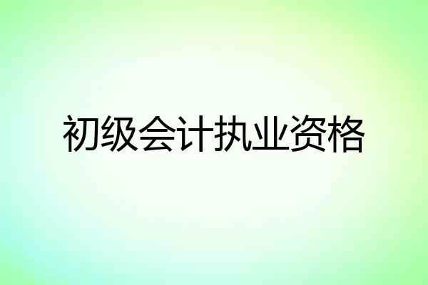 初级会计执业资格