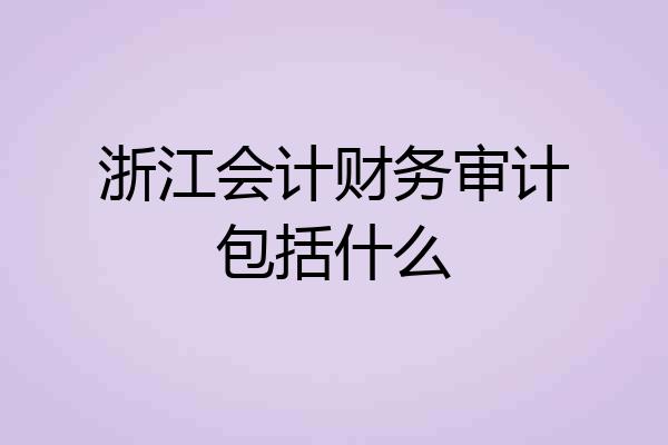 浙江会计财务审计包括什么