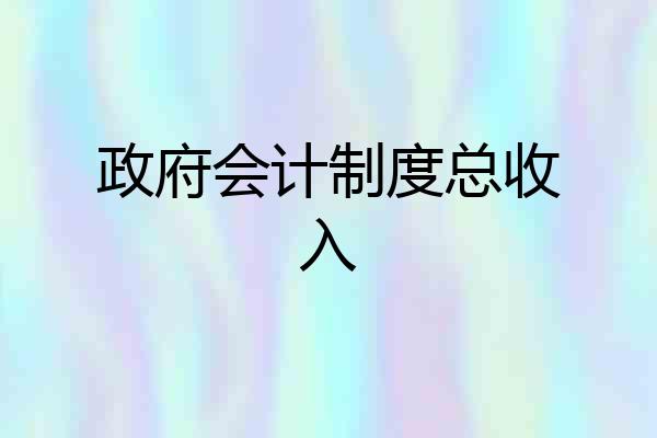 政府会计制度总收入