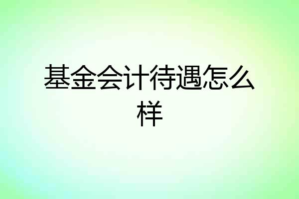基金会计待遇怎么样