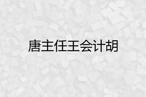 唐主任王会计胡