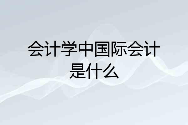 会计学中国际会计是什么