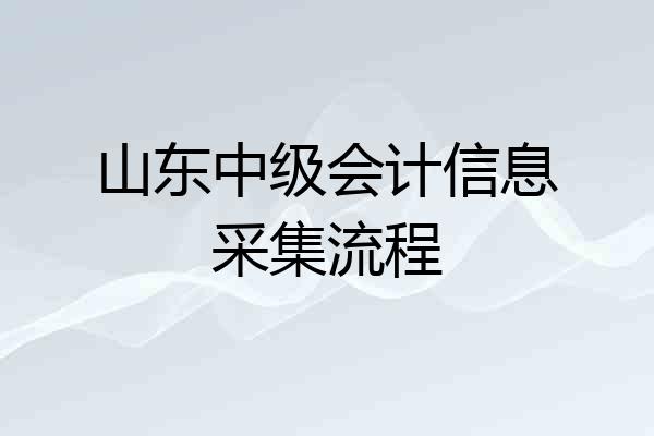 山东中级会计信息采集流程