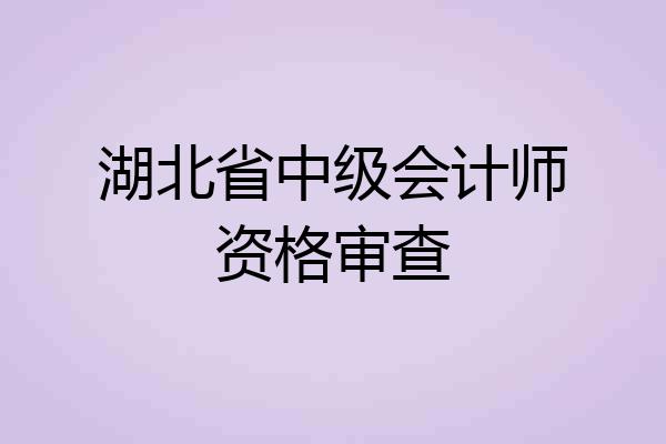 湖北省中级会计师资格审查