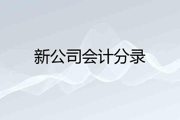 新公司会计分录