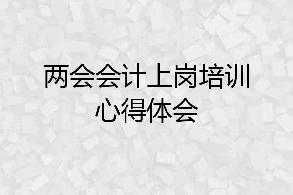 两会会计上岗培训心得体会