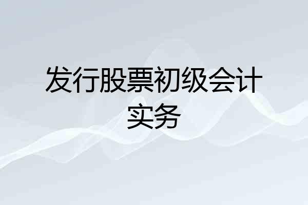 发行股票初级会计实务
