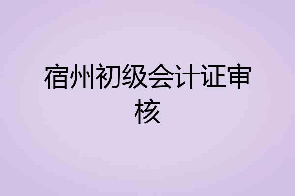 宿州初级会计证审核