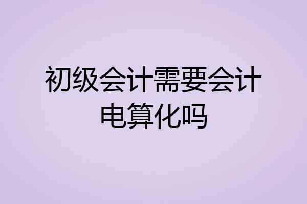 初级会计需要会计电算化吗