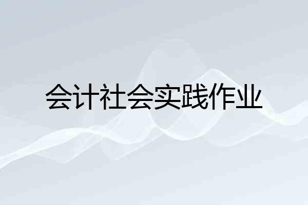 会计社会实践作业