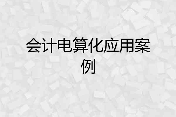 会计电算化应用案例