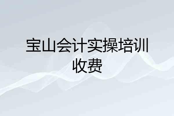 宝山会计实操培训收费