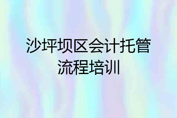 沙坪坝区会计托管流程培训