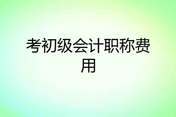 考初级会计职称费用