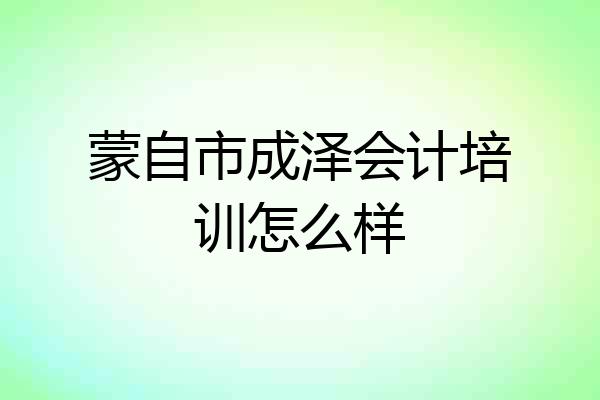 蒙自市成泽会计培训怎么样