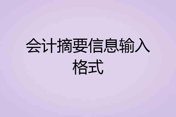 会计摘要信息输入格式