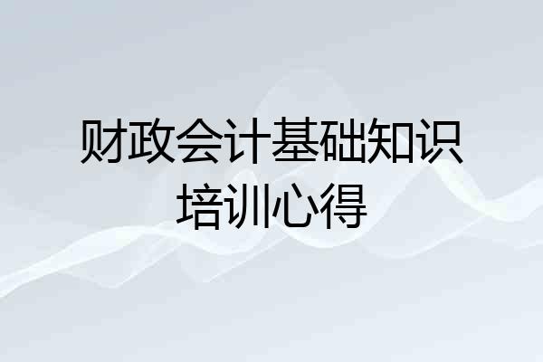 财政会计基础知识培训心得