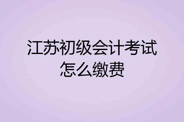 江苏初级会计考试怎么缴费