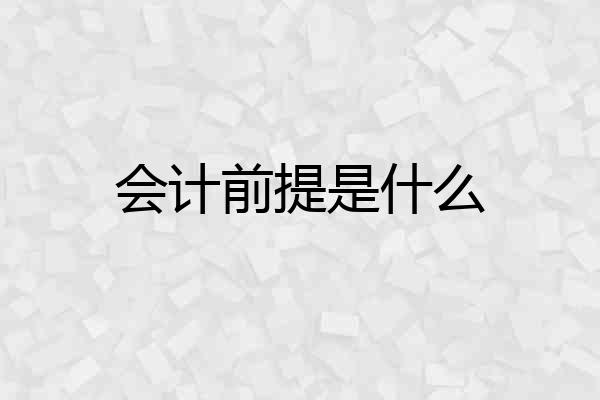 会计前提是什么