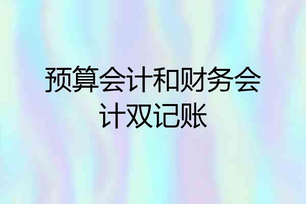 预算会计和财务会计双记账