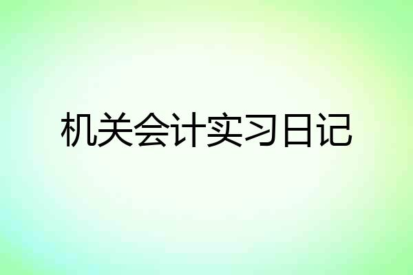 机关会计实习日记