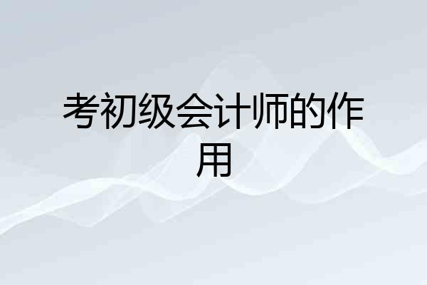 考初级会计师的作用
