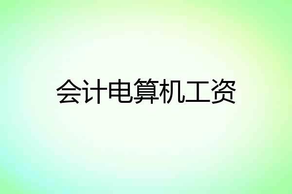 会计电算机工资
