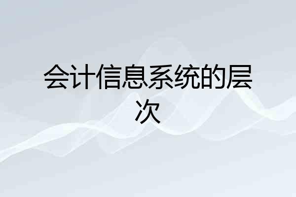 会计信息系统的层次