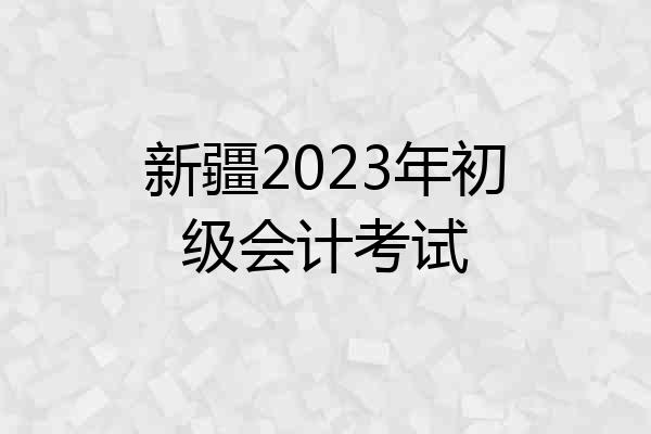 新疆2023年初级会计考试
