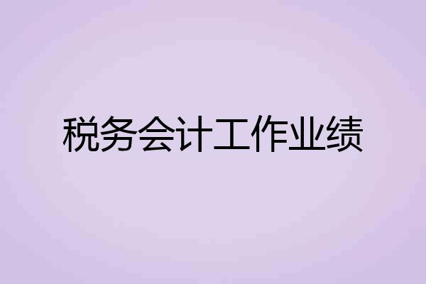 税务会计工作业绩