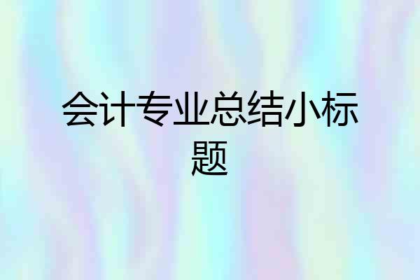 会计专业总结小标题