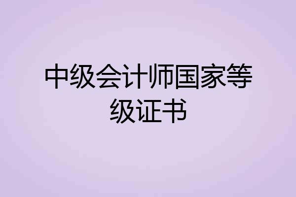 中级会计师国家等级证书