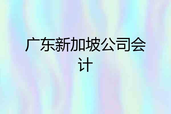 广东新加坡公司会计