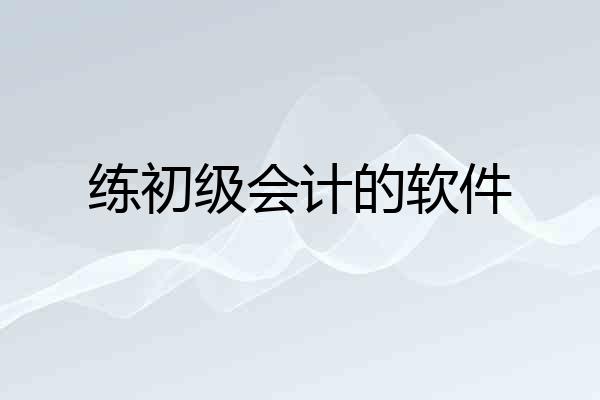 练初级会计的软件