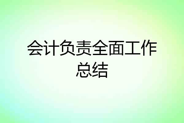 会计负责全面工作总结
