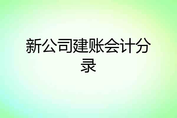 新公司建账会计分录