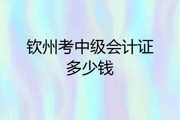 钦州考中级会计证多少钱