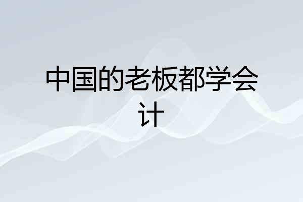 中国的老板都学会计