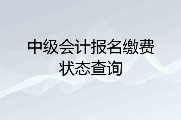 中级会计报名缴费状态查询