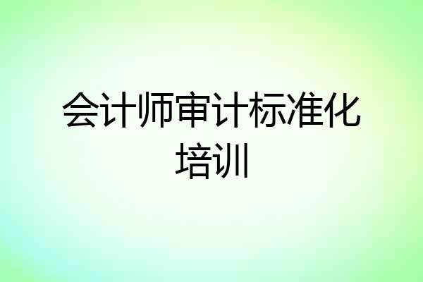 会计师审计标准化培训