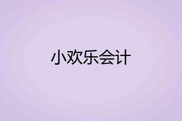 小欢乐会计