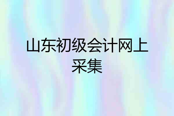 山东初级会计网上采集