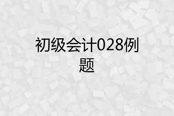 初级会计028例题