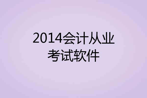 2014会计从业考试软件