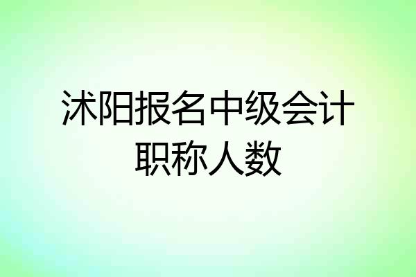沭阳报名中级会计职称人数