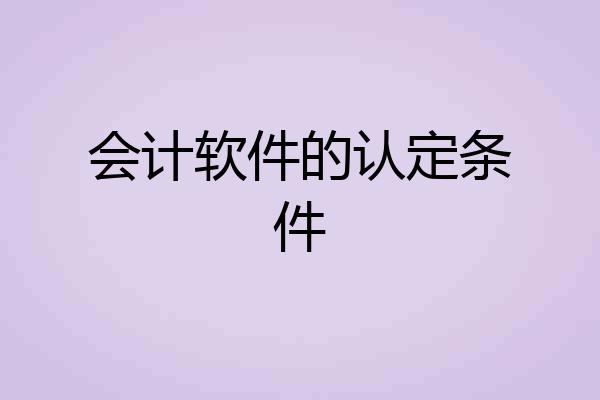 会计软件的认定条件