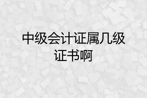 中级会计证属几级证书啊