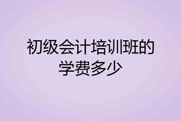 初级会计培训班的学费多少